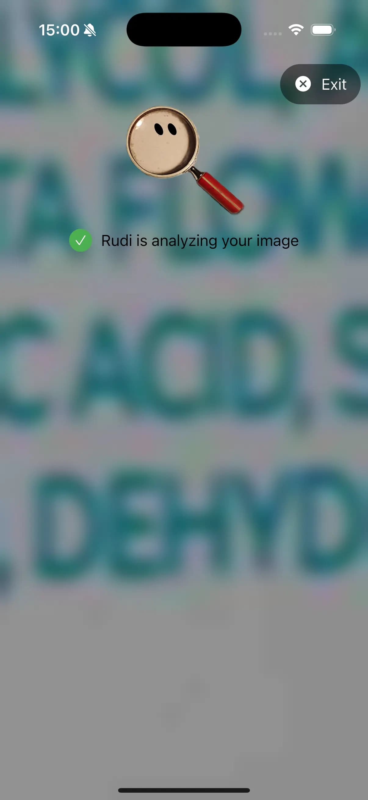 Ask Rudi Screenshot