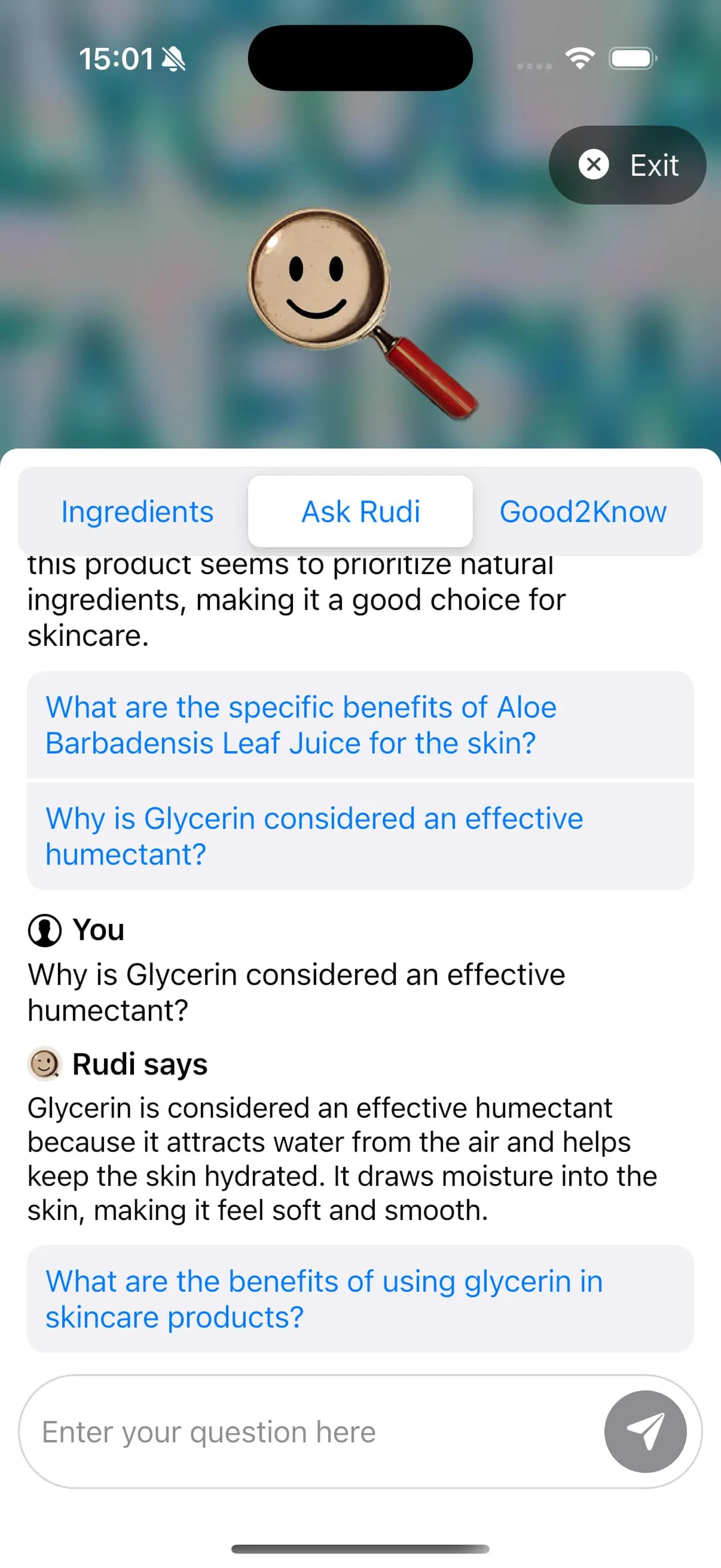 Ask Rudi Screenshot