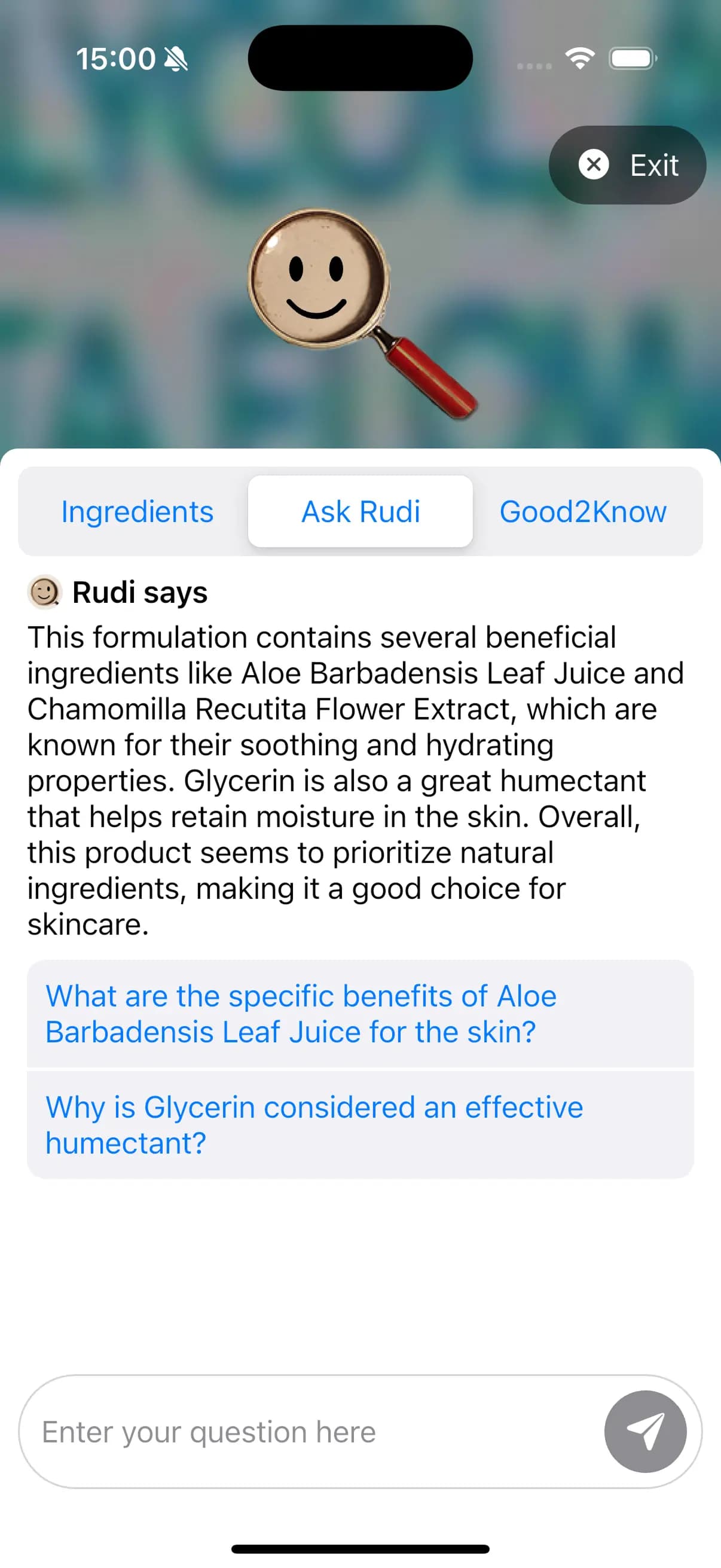 Ask Rudi Screenshot